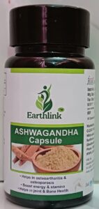 WhatsApp Image 2025-09-15 at 5.03.30 PM